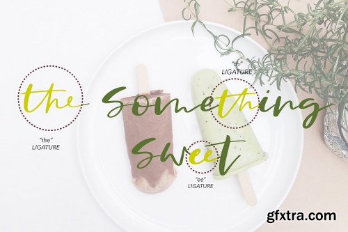 CreativeMarket New! Fantina Script Font 2573625