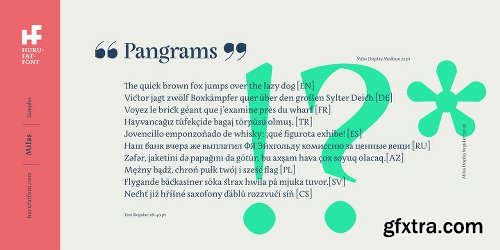 Milas Font Family - 20 Fonts