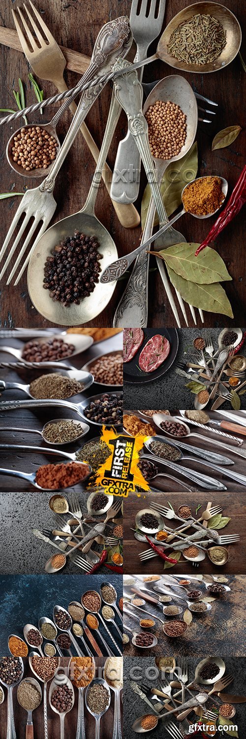 Fragrant spices and seasonings in silver spoons