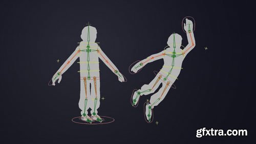 3D Rigging Basics