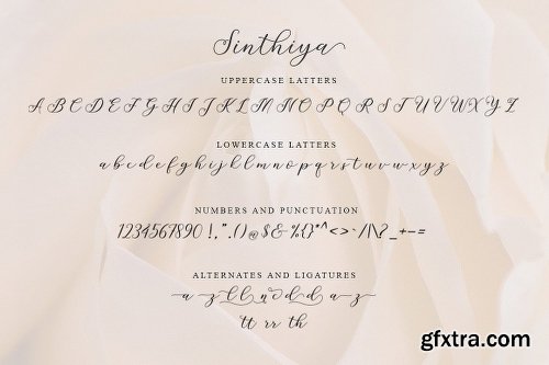 CreativeMarket Sinthiya Script 3009656