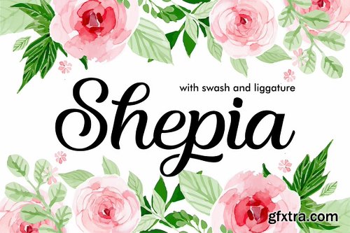 CreativeMarket Shepia Beauty Script 3013463