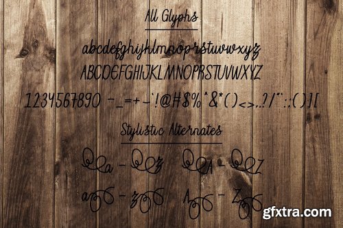 CreativeMarket Ozora Script 3011197