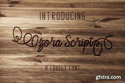 CreativeMarket Ozora Script 3011197