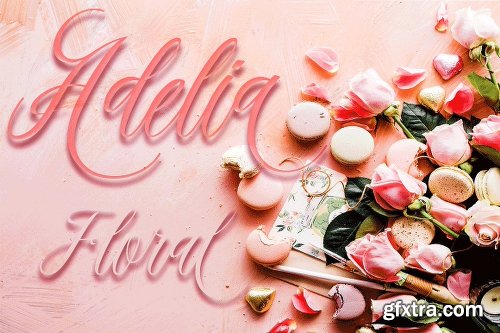 CreativeMarket Madania Beautiful Script 2575922