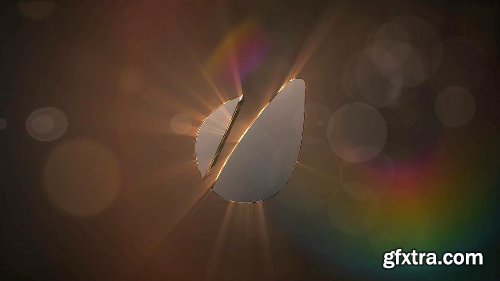 Videohive Gold & Silver Logo Text Reveal 8049605