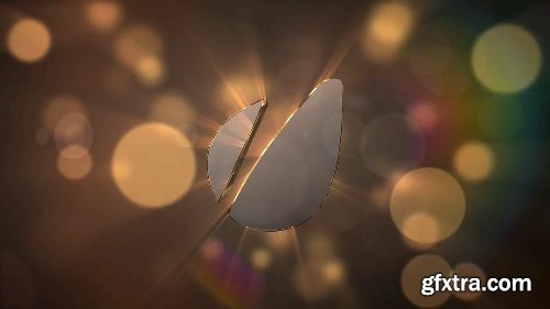 Videohive Gold & Silver Logo Text Reveal 8049605