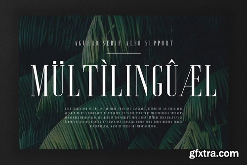 Aguero Serif Font Family