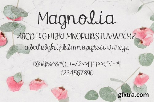 CreativeMarket Magnolia Font 3043848