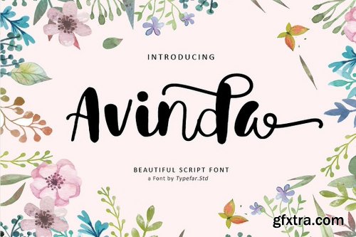 CreativeMarket Avinda Script 3060115