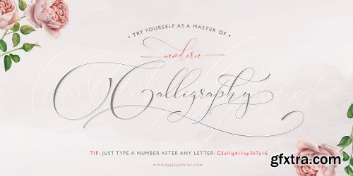 Sophia Font Family - 7 Fonts