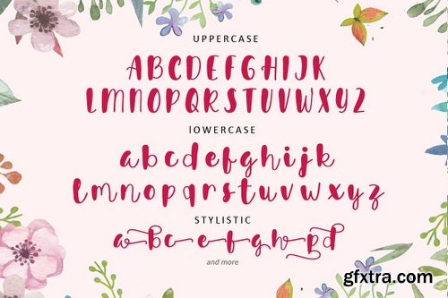 CreativeMarket Avinda Script 3060115