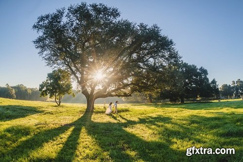 Rachel Nielsen Spring Presets 2018