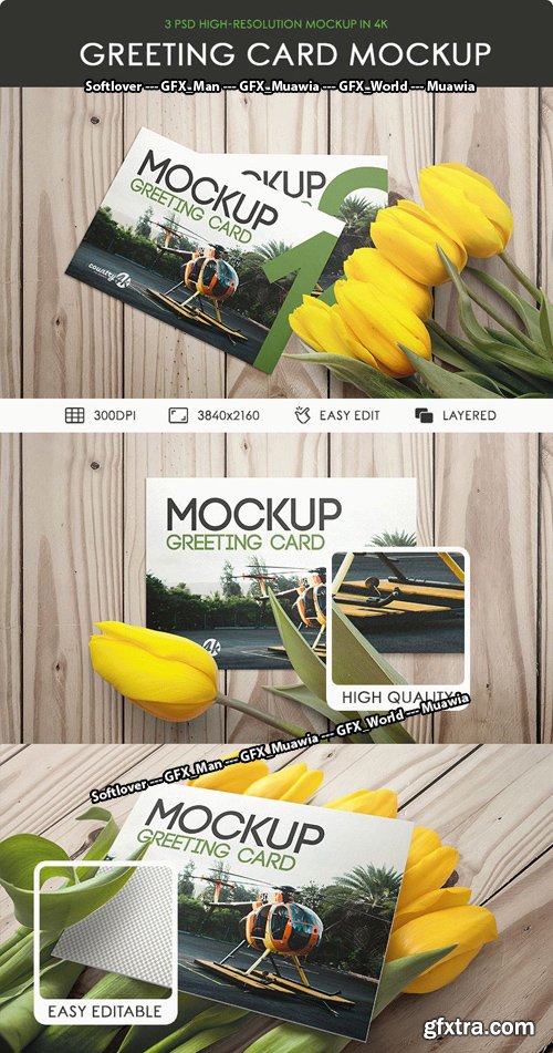 Greeting Card PSD Mockups in 4K