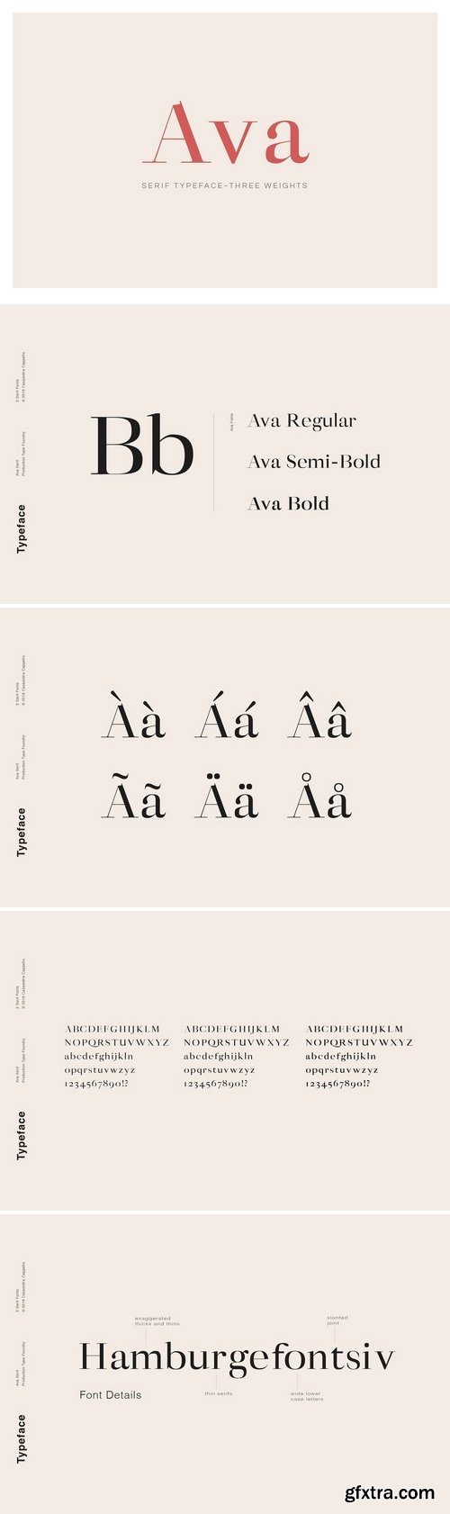 CM - Ava - A Classy Serif Typeface 3071542