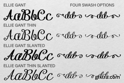 Ellie Gant Family Font Family - 4 Fonts