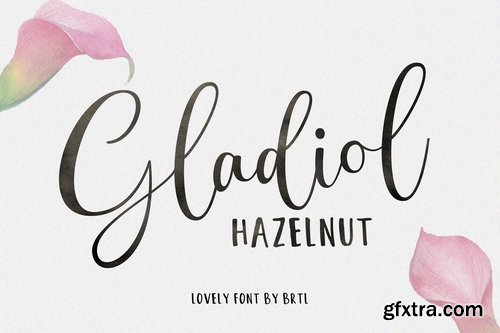 CM - Gladiol Haze Lovely Script 3080316