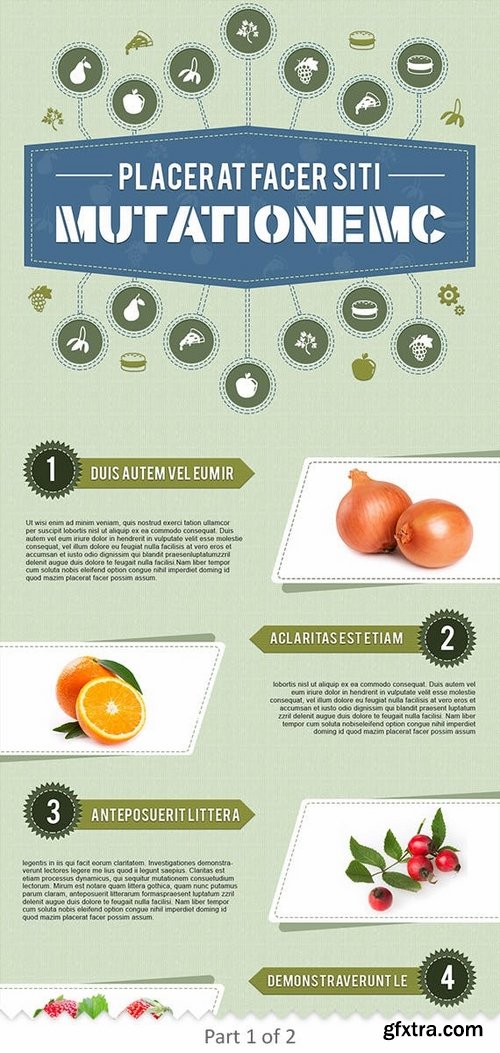 Infographics Template – Food & Nutrition Theme