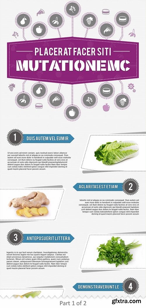 Infographics Template – Food & Nutrition Theme