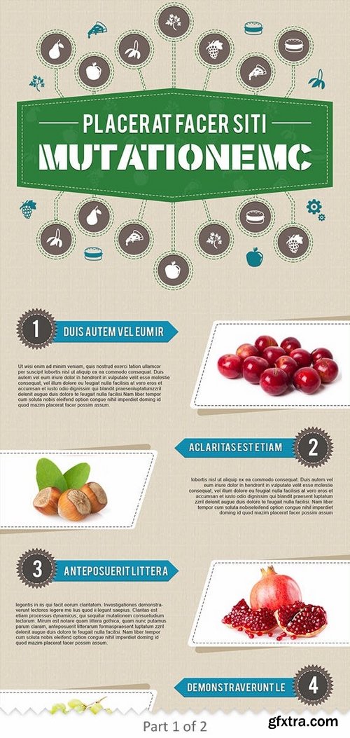 Infographics Template – Food & Nutrition Theme