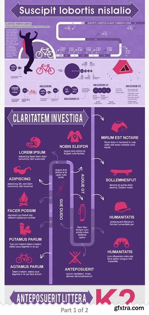 Sports Infographics Template