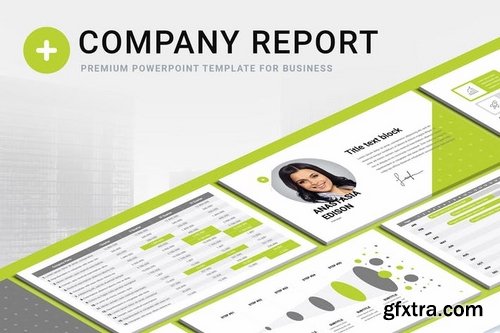 Company Report PowerPoint Keynote and Google Slides Templates