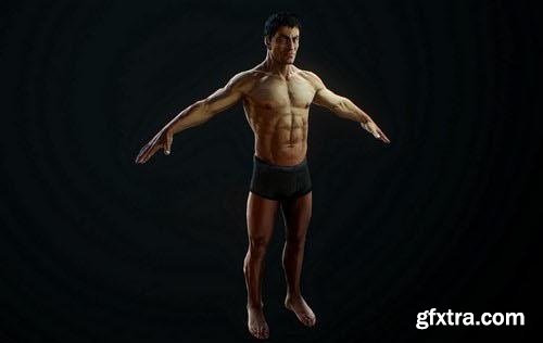 Male Body 3D Model