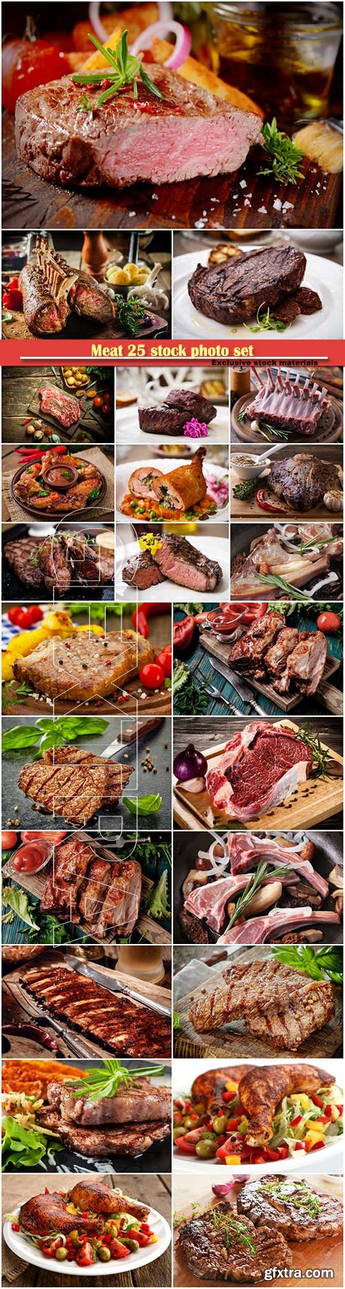 Meat 25 stock photo set