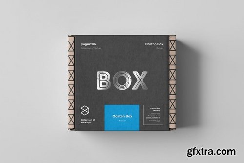 Carton Box Mock-up 95x85x42