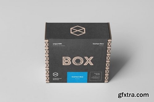 Carton Box Mock-up 95x85x42