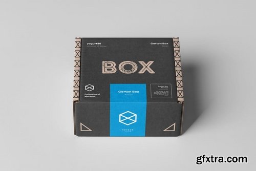 Carton Box Mock-up 95x85x42