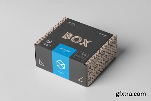 Carton Box Mock-up 95x85x42