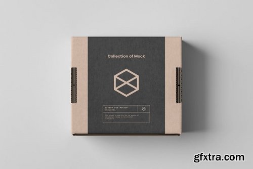 Carton Box Mock-up 95x85x42