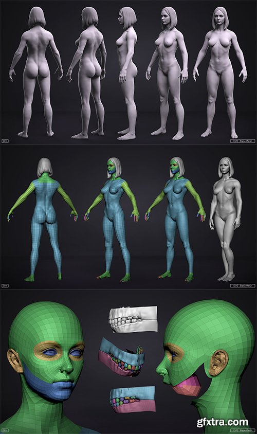 Cubebrush - Female BaseMesh - Eve - ZTool