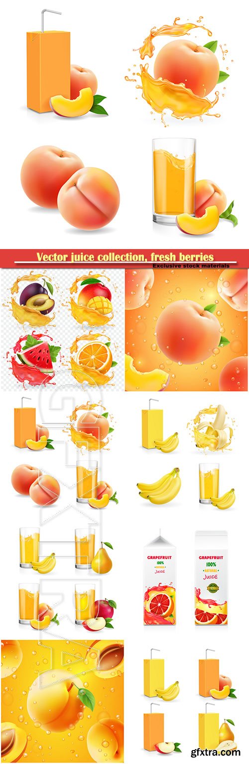 Vector juice collection, fresh berries packaged juice or jam logotype