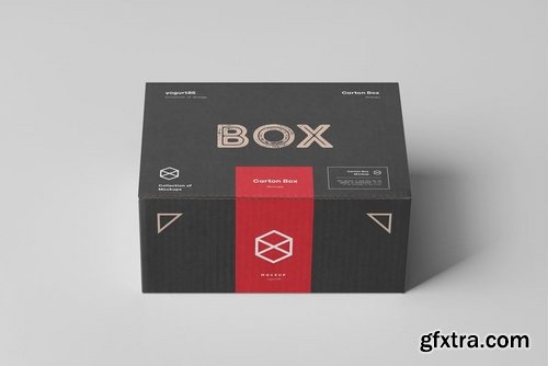 Carton Box Mock-up 135x105x60