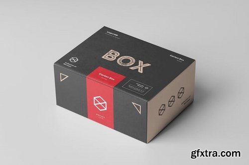 Carton Box Mock-up 135x105x60