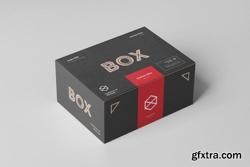 Carton Box Mock-up 135x105x60