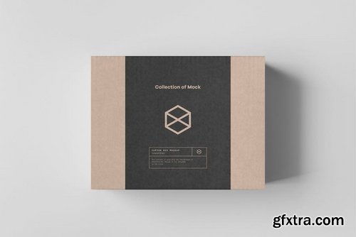 Carton Box Mock-up 135x105x60