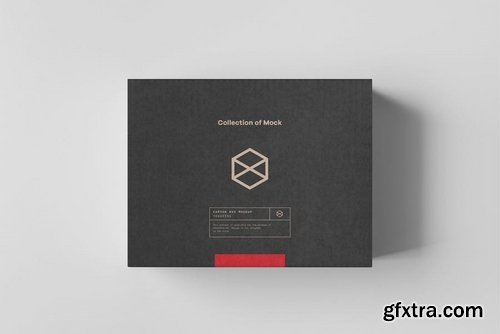 Carton Box Mock-up 135x105x60