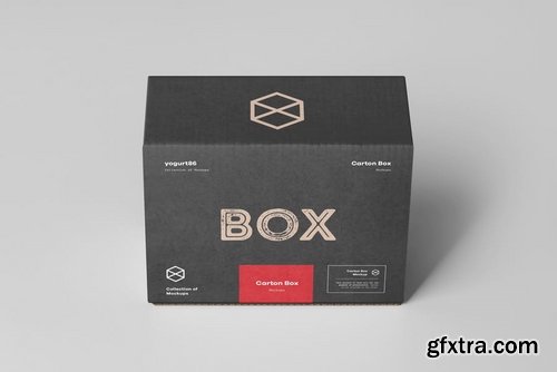 Carton Box Mock-up 135x105x60