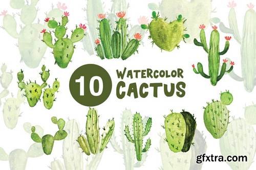 10 Watercolor Cactus Illustrations