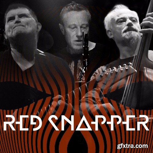 Loopmasters Red Snapper Live Soundscapes WAV REX