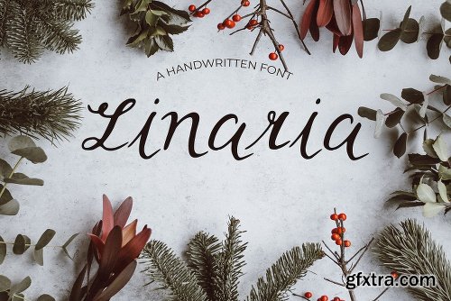 CreativeMarket Linaria Font 3038592