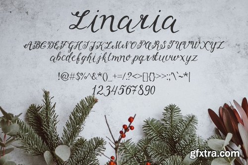 CreativeMarket Linaria Font 3038592