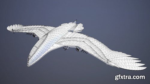 BlackBird Ornithopter 3D Model