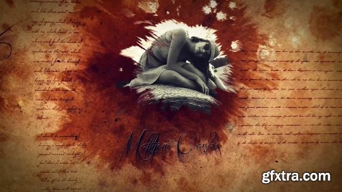 Videohive Ink Titles 2 7569279