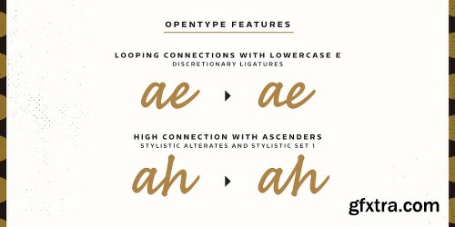 Bakeshop Font Family - 6 Fonts