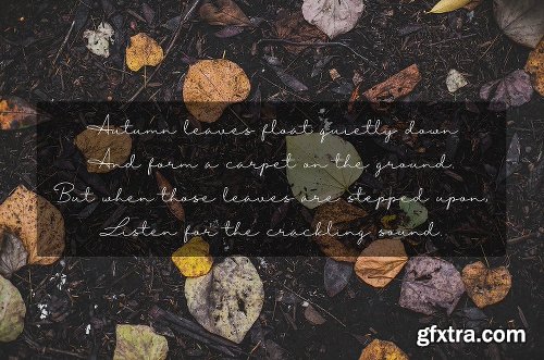 CreativeMarket Autumn Mood 3068306