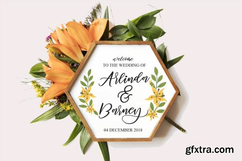 CreativeMarket Diary Amily 3100745